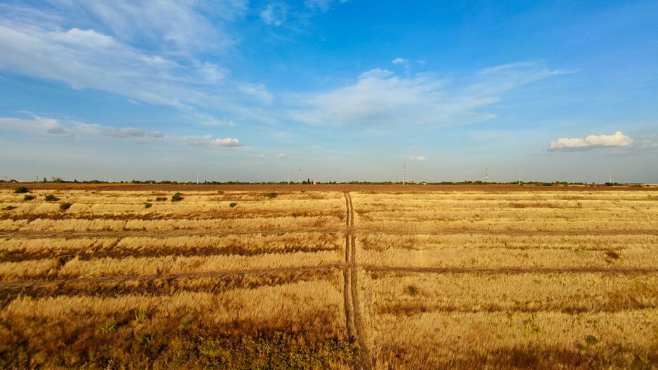 Teren Daia 75000 mp cu balta 30000 mp izvoare - Poză 11