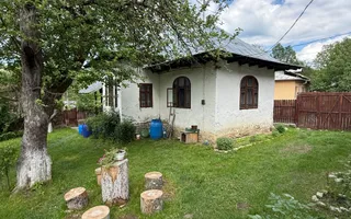 2 Case + teren 1390 mp langa parcul central Provita de Sus - Poză 25