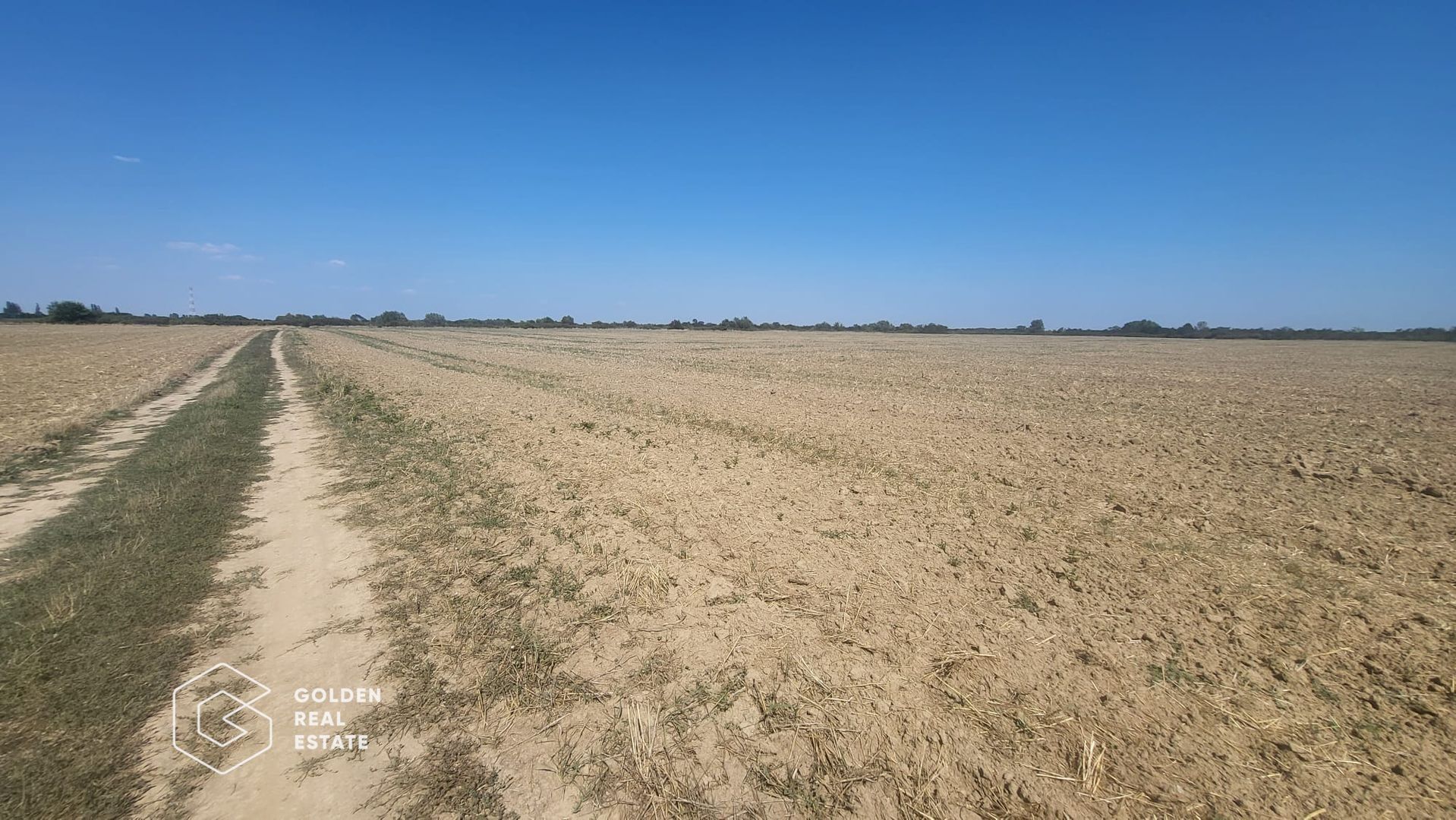 Teren Mosnita Noua, 11600 mp - Poză 1