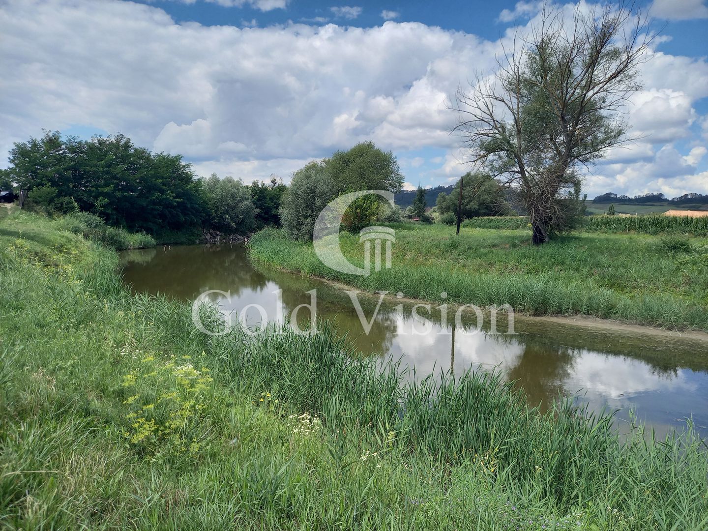 Teren Intravilan de 12.000 mp cu lac de 900mp,in Albesti-Sighisoara - Poză 5