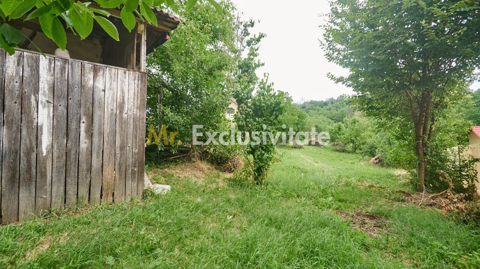 Teren 2240 mp intravilan + casa batraneasca Hintesti-Basangesti - Poză 3