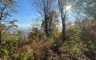 Comision 0%! Vanzare teren in Grigorescu, strada Nicolae Patrascu! - Poză 2