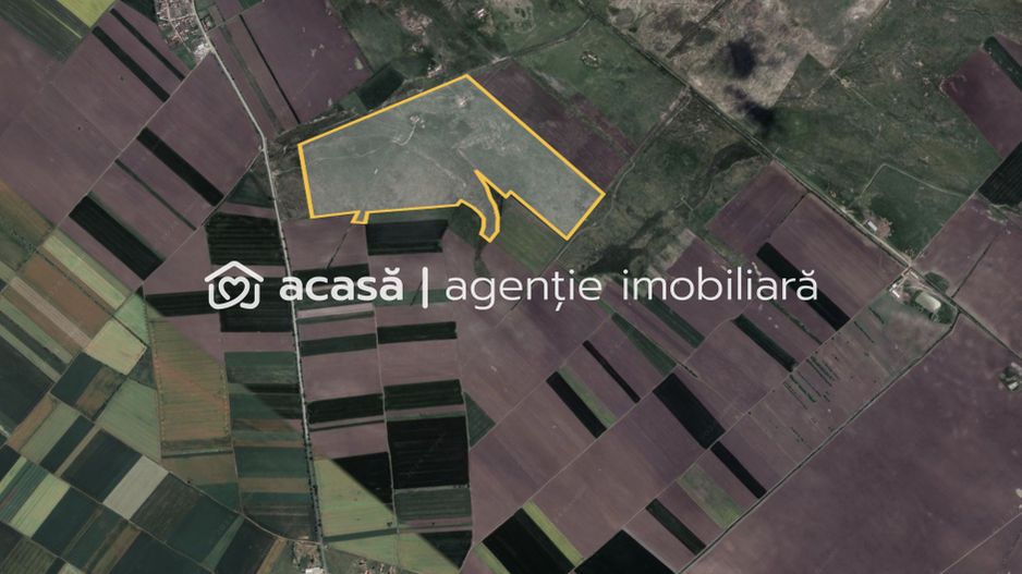 Teren 42 ha pentru parc fotovoltaic – Macea, Arad - Poză 2