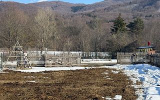 Teren intravilan 4521mp lângă pădure-valea Doftanei -Calea Brasovului - Poză 7