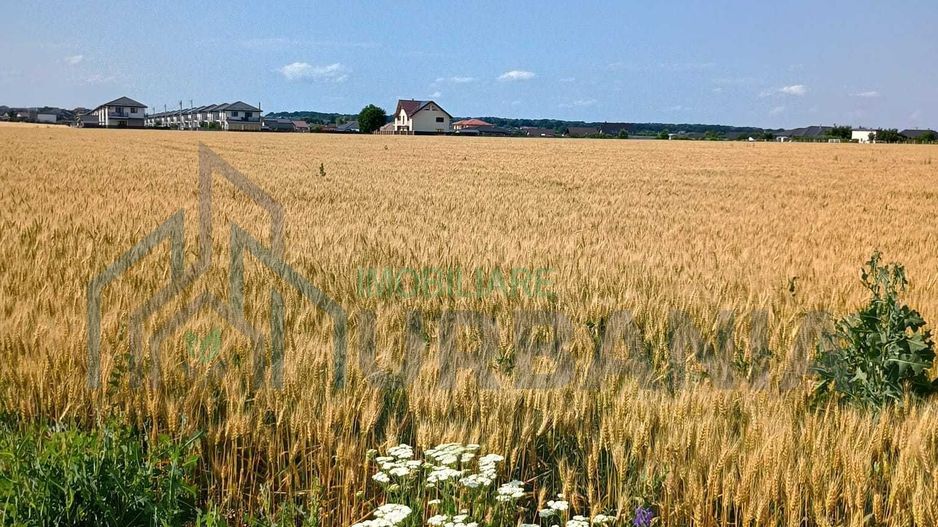 De vanzare teren extravilan valea ursului - Poză 3