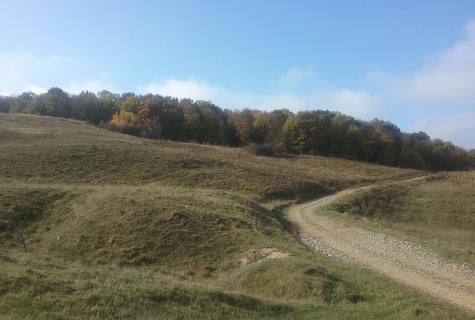 teren extravilan Secuieni judet Bacau - Poză 9