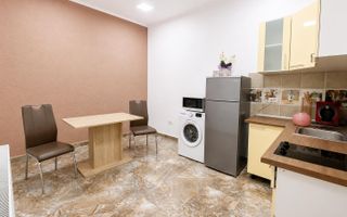 Apartament cu o camera | Piata Maria - Poză 5
