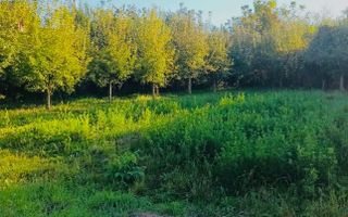 Casă de vânzare in Brașov, Stupini, 4 camere si teren de 1891mp - Poză 10