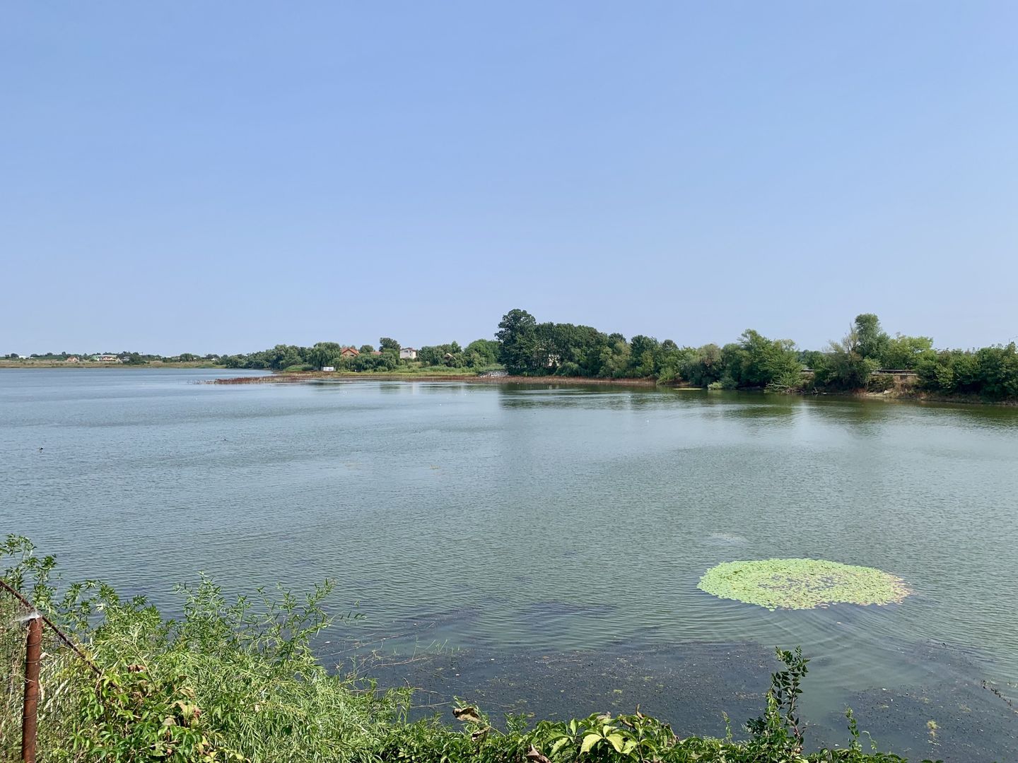 Teren Crevedia 45000 mp - Poză 1