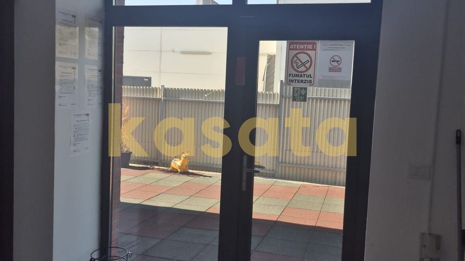 Spatiu Comercial I Tunari I 463 utili I curte 400 mp I parcare - Poză 9