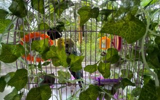 Garsoniera//Oportunitate investitie***Piata Resita-Bucuresti - Poză 5