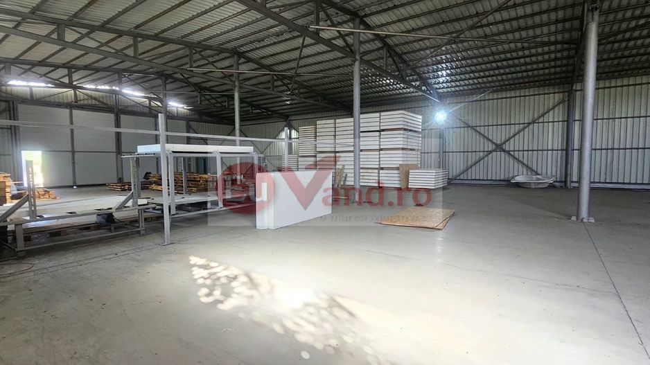 Hala 1.533 mp cu teren 5.000 mp – Vanatori, zona Maylo - Poză 3