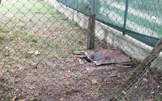 Teren Intravilan 10.000 mp | Livadă + Pădure de salcâm | Bărbătești - Poză 7