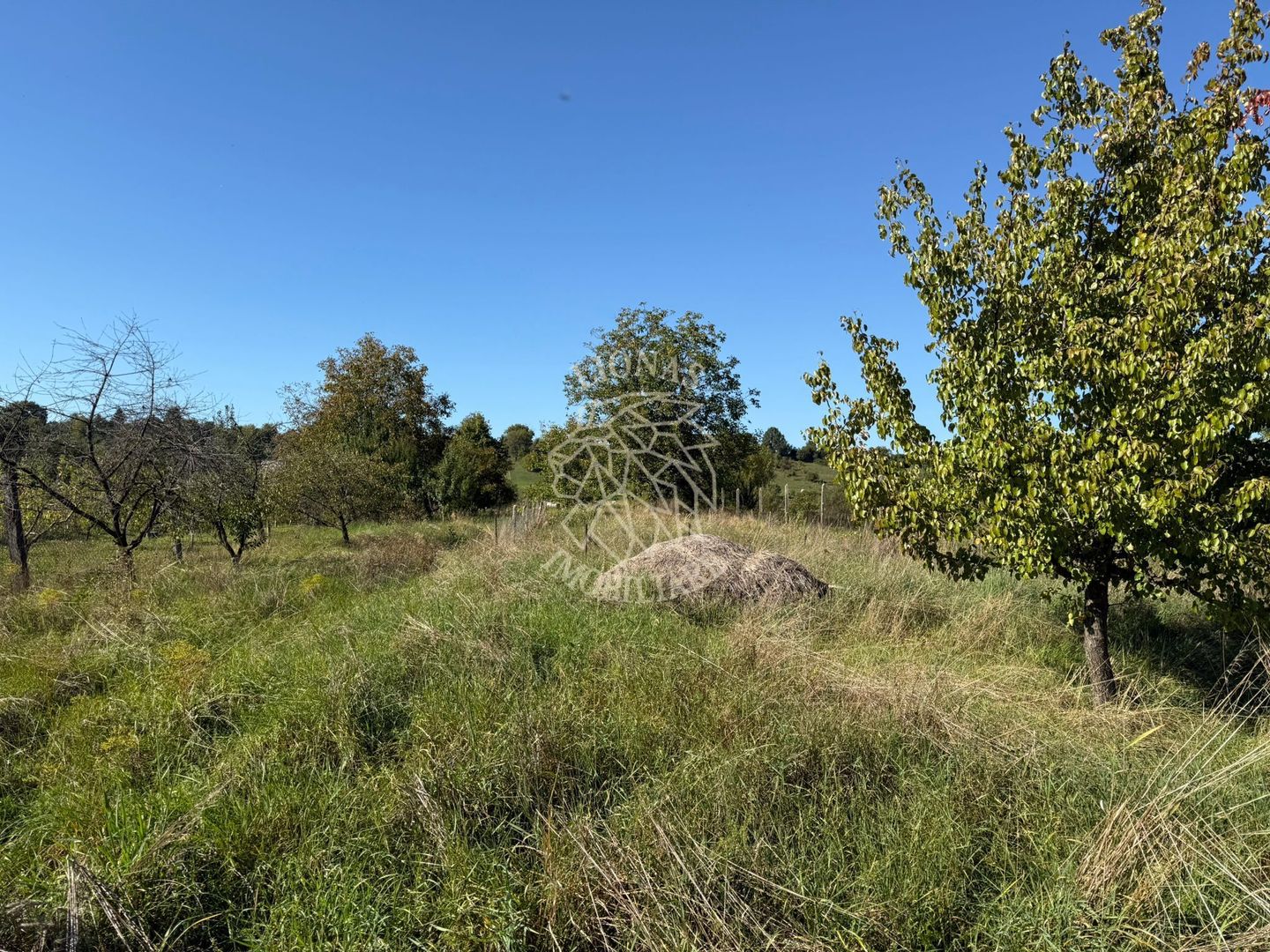 Teren intravilan 965 mp-imprejmuit-ideal casa-Livezile - Poză 4