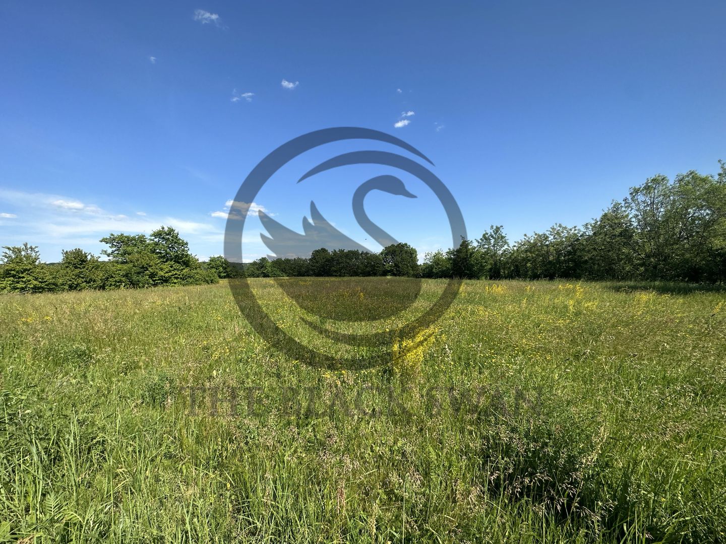 Teren Vanzare 11.000 MP Ghirdoveni | Comision 0% - Poză 11