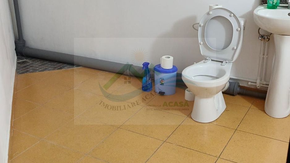 Pensiune/Unitate de cazare/Vila Burdujeni Suceava - Poză 23