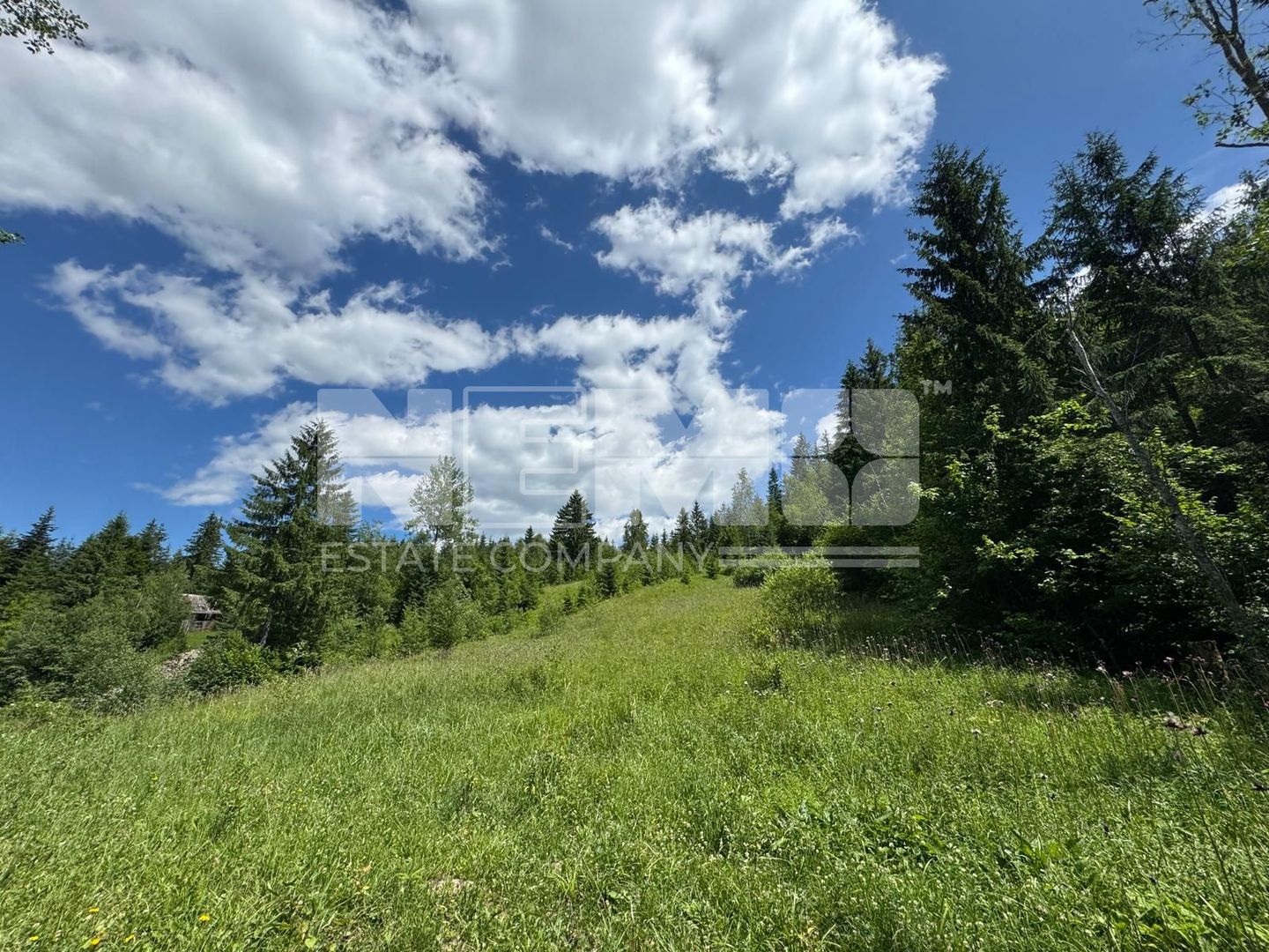 TEREN EXTRAVILAN DE VANZARE | CAMPULUNG MOLDOVENESC | 258.720€ - Poză 5