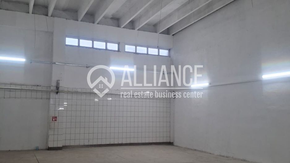 ZONA INDUSTRIALA (COD04)-Hala 270 mp ideal service auto - Poză 2