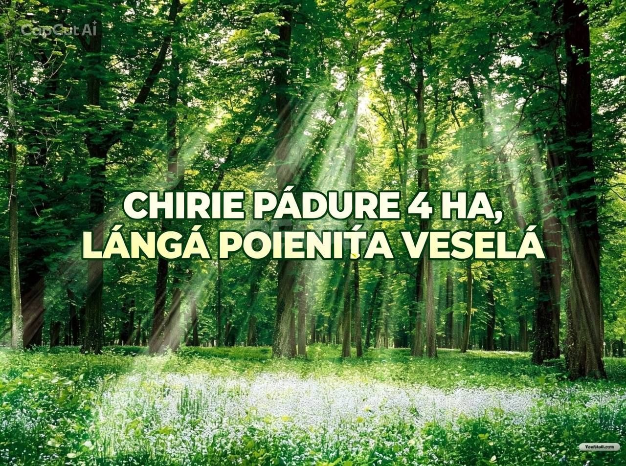 Chirie teren forestier -  4 ha direct la traseul Chișinău-Hîncești - Poză 1