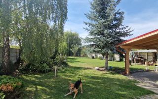 Casa individuala, 195 mp utili+ 500 mp curte, Sura Mica - Poză 2