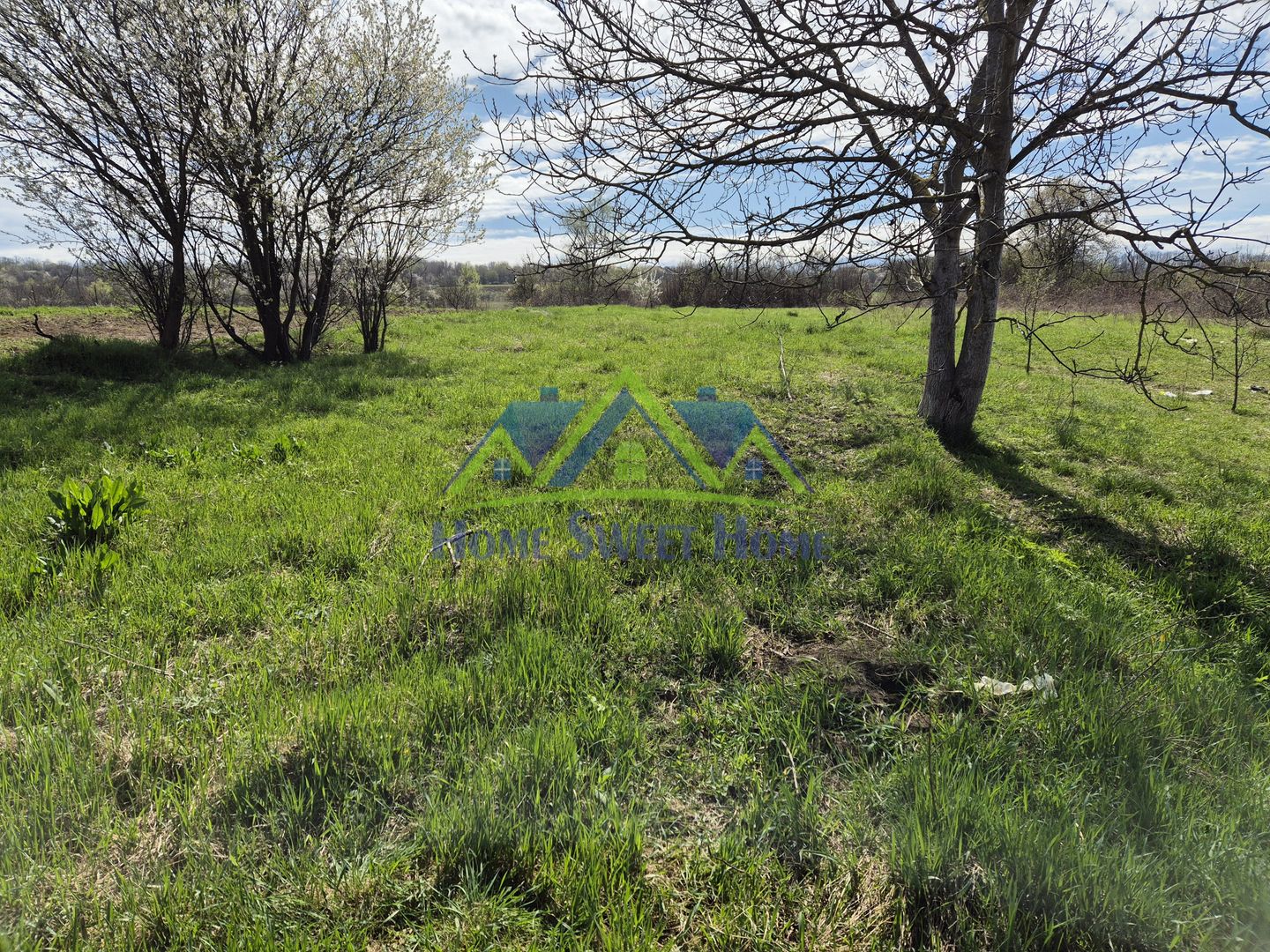 Vand casa 6 camere in Silvasul de Jos, 258mp si 3787mp teren! - Poză 5