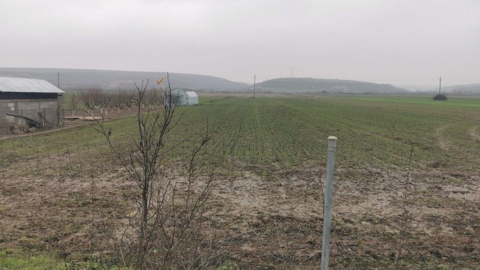 De vanzare casa in Argetoaia cu teren 7.000 mp - Poză 5