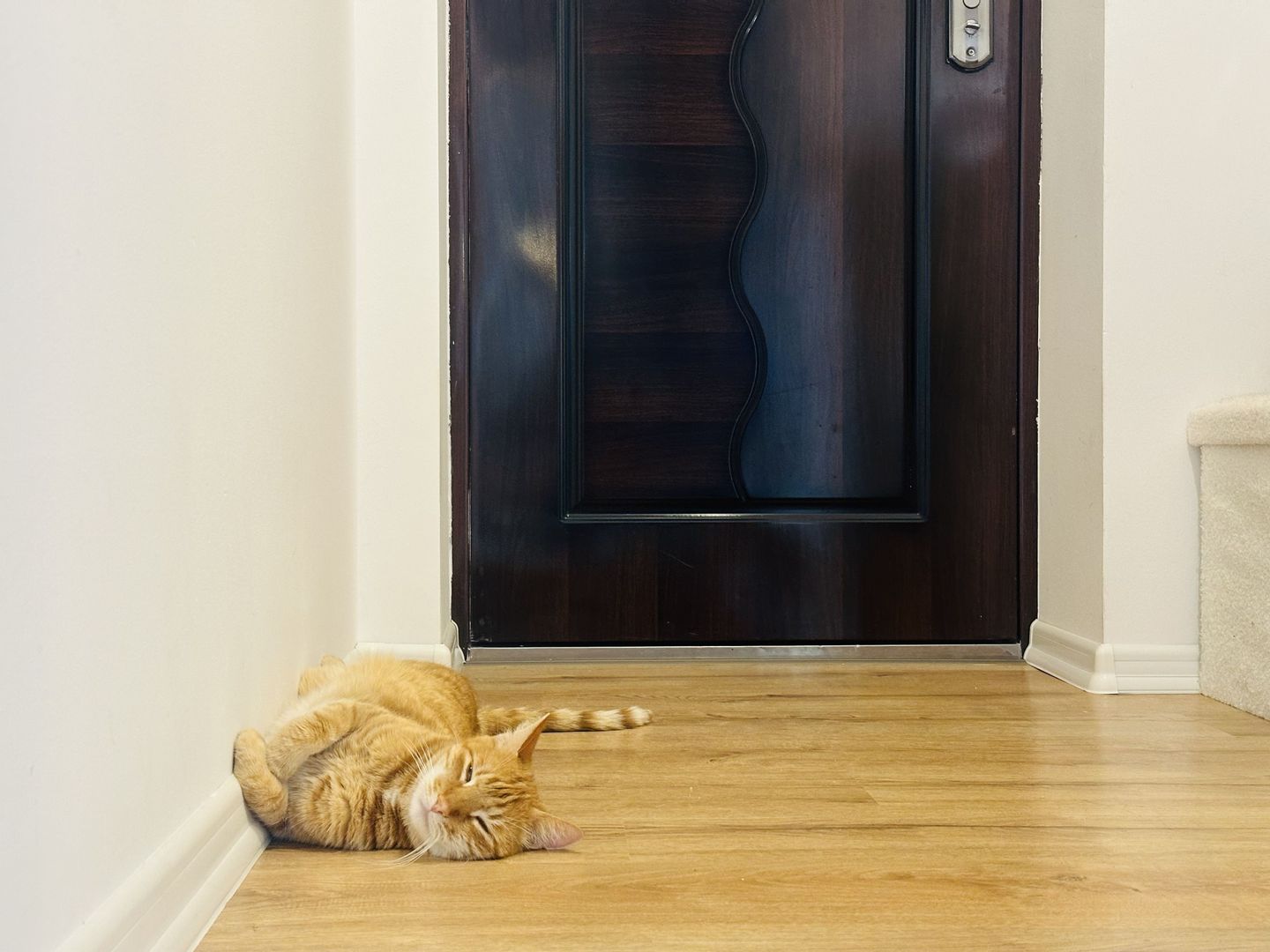 Apartament cu personalitate – 2 camere, 65 mp, tavan înalt 3,40 m | Dumbravita - Poză 4