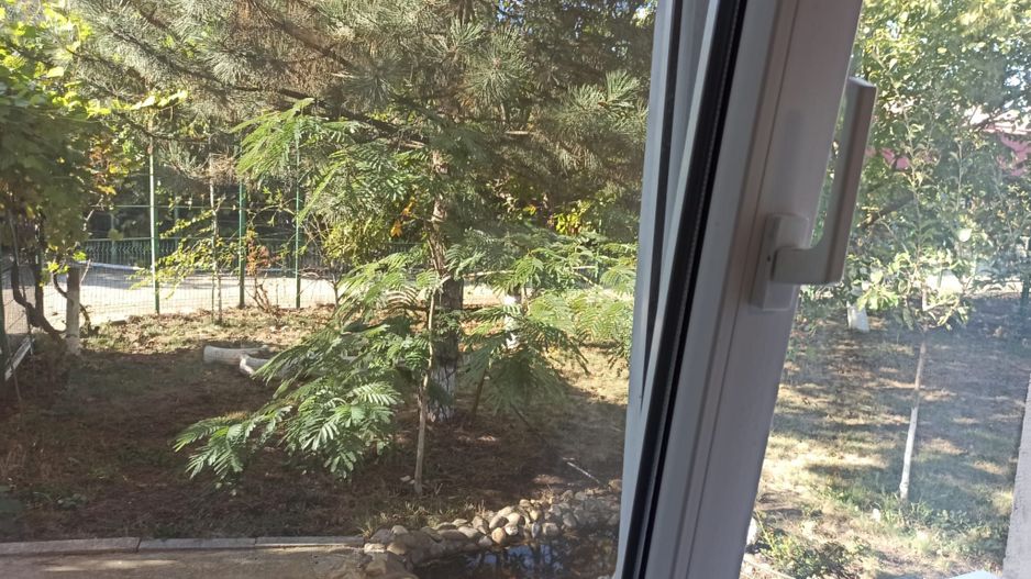 vila triplex,deosebita,mob-util partial/complet/Frumusani-Calarasi - Poză 35