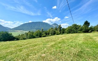 Platou montan, 6631 mp intravilan, electricitate,  langa pădure - Poză 9