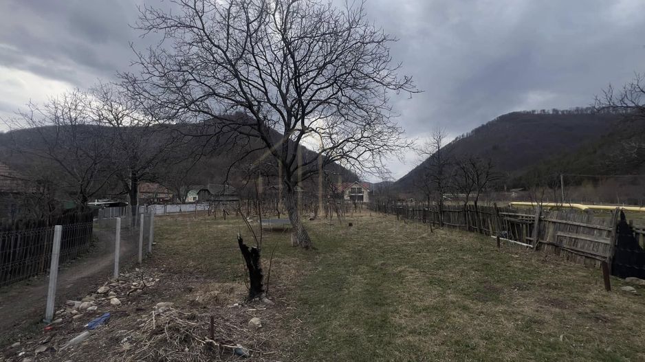 Teren 2540 mp intravilan Oituz - Poză 1