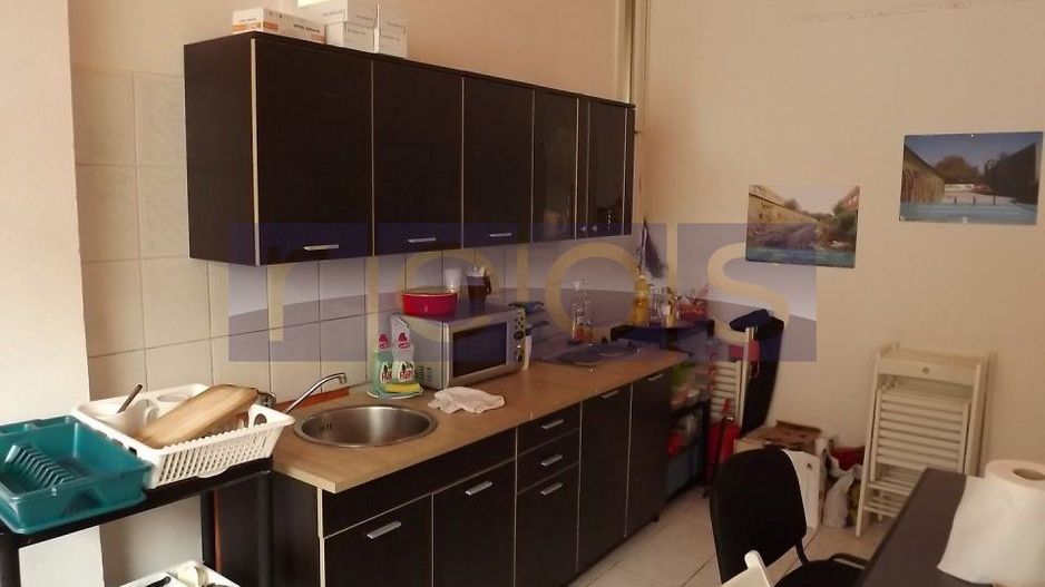 INCHIRIERE VILA | ZONA TITULESCU - Poză 2