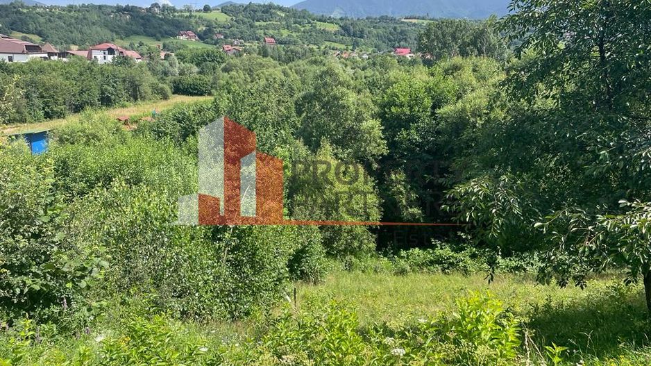 Teren 3779 mp Bran Predelut - Poză 8