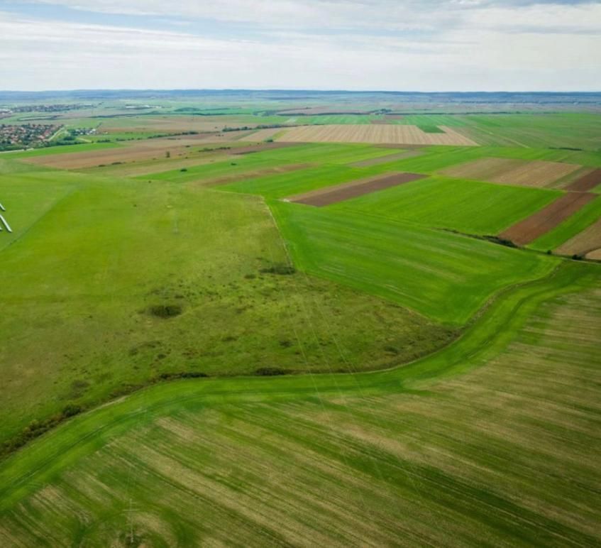 Teren agricol 5ha Giarmata langa Antena Radar - Poză 4