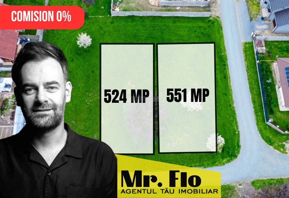 Terenuri pentru case individuale – Moșnița Nouă, zonă premium - Poză 1