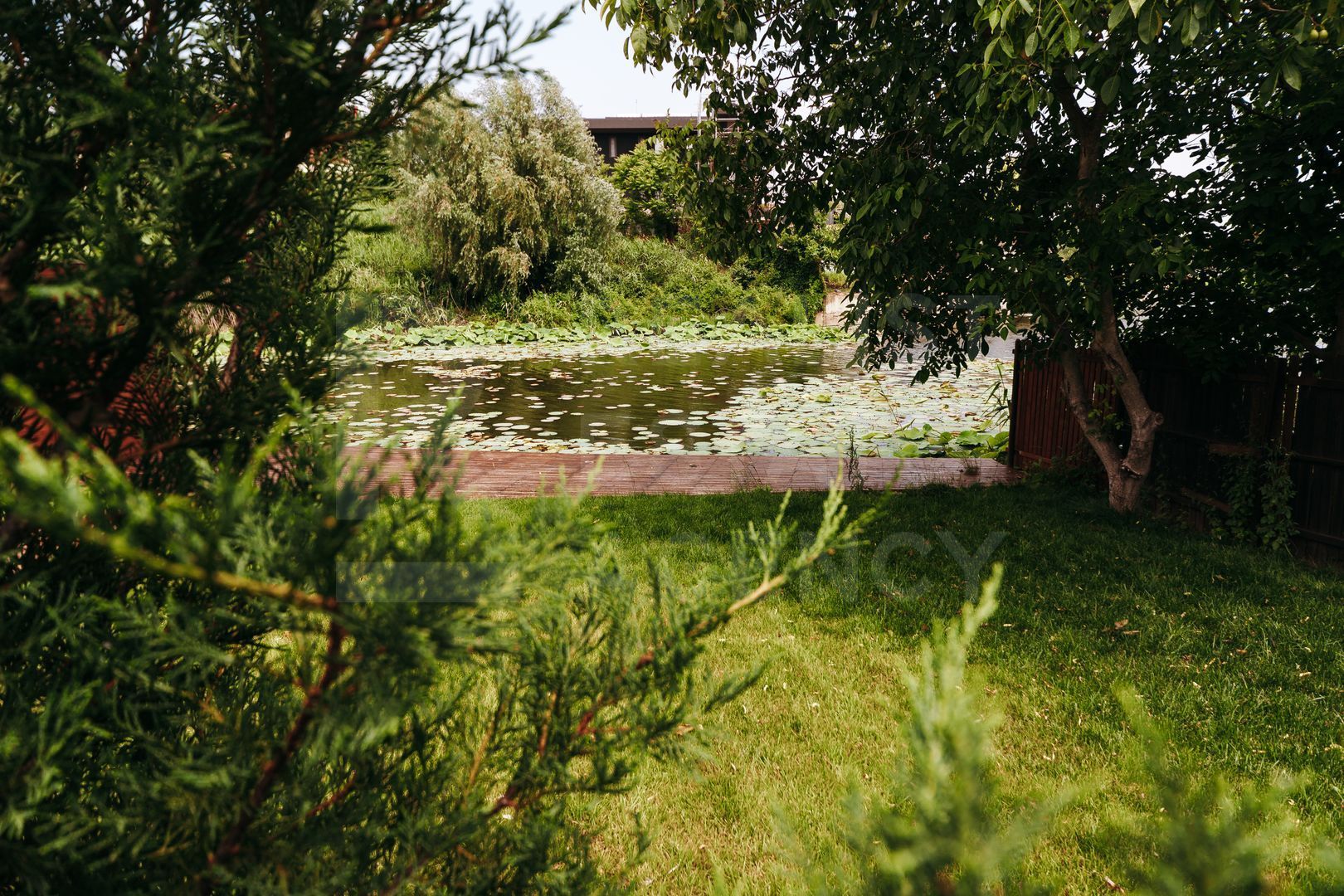Casa cu piscina si iesire la lacul Snagov, 4 camere - Poză 14