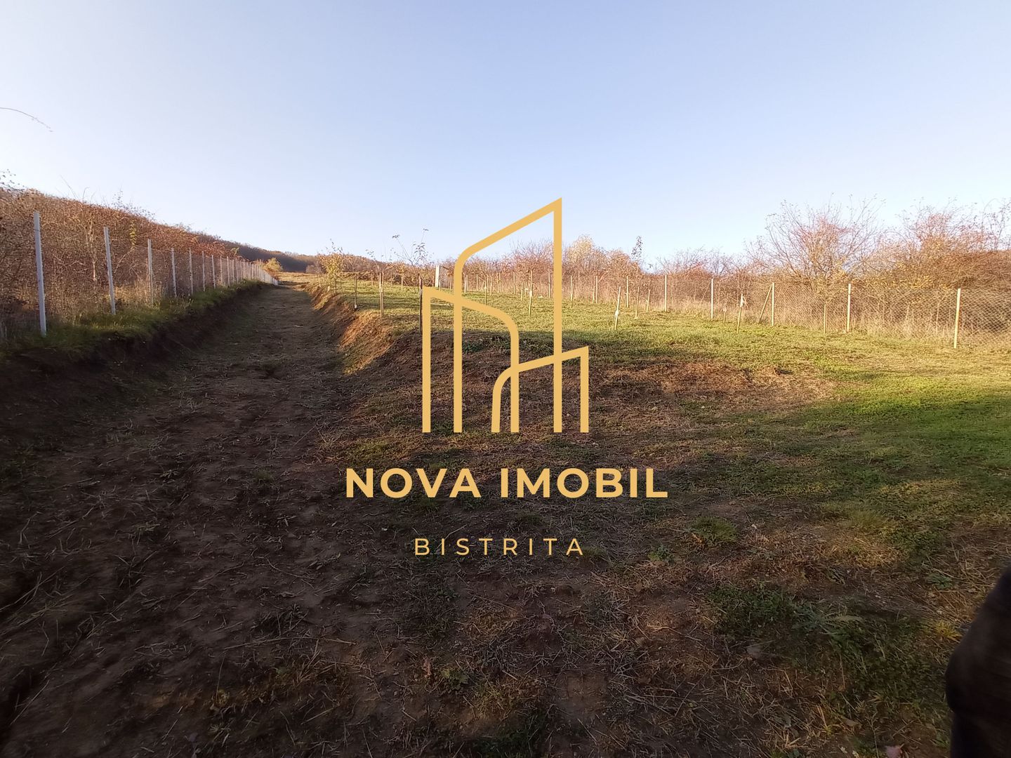 Teren Viisoara 27 ari - Poză 6