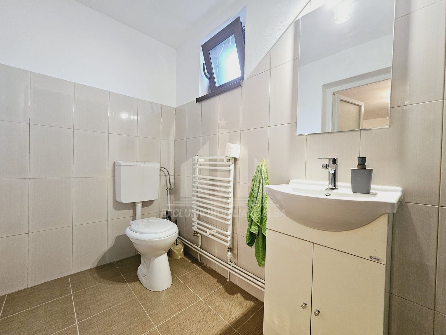 Casa individuala de vanzare, Cetate - Poză 18