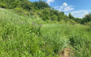 Teren intravilan de vânzare – Aninoasa, punctul La Vișini - 706 mp - Poză 5
