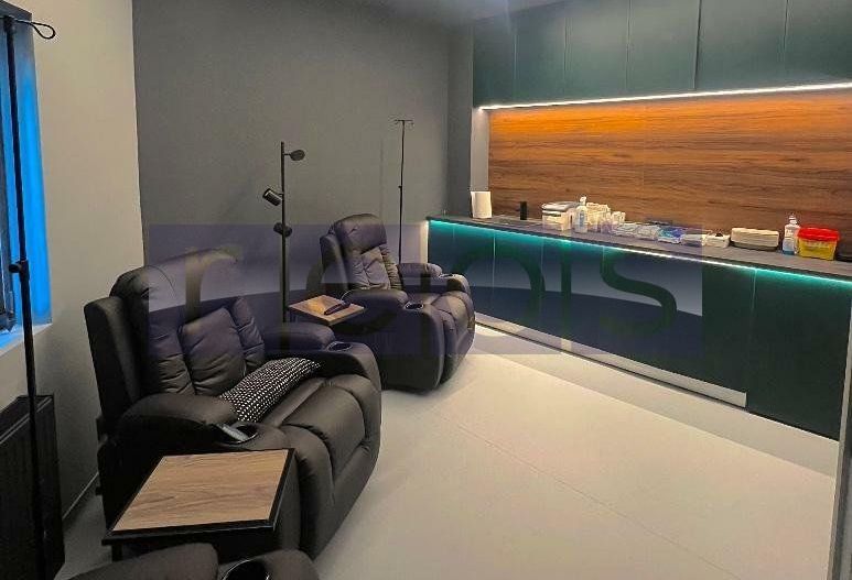 VANZARE VILA KISELEFF 365MP | CURTE 90MP | IDEAL INVESTITIE - Poză 6