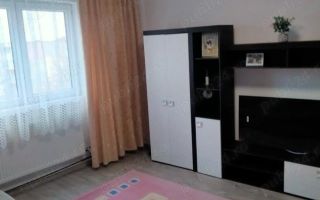 Apartament 2 camere Buziasului - Poză 1