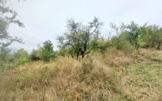 Teren 58 arii cu deschidere la drumul principal – Miron Costin - Poză 5