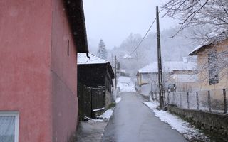 Teren cu izvor de apă minerală  Dangești, Punctul Valea Mare - Poză 19