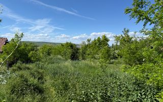 Teren intravilan construibil – 1.750 mp | Jucu de Sus - Poză 3