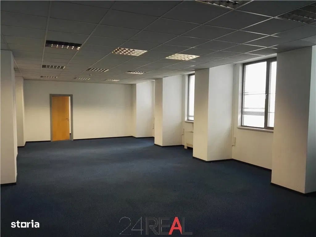 Spatii de inchiriat - Splaiul Unirii de la 299 MP - Poză 9