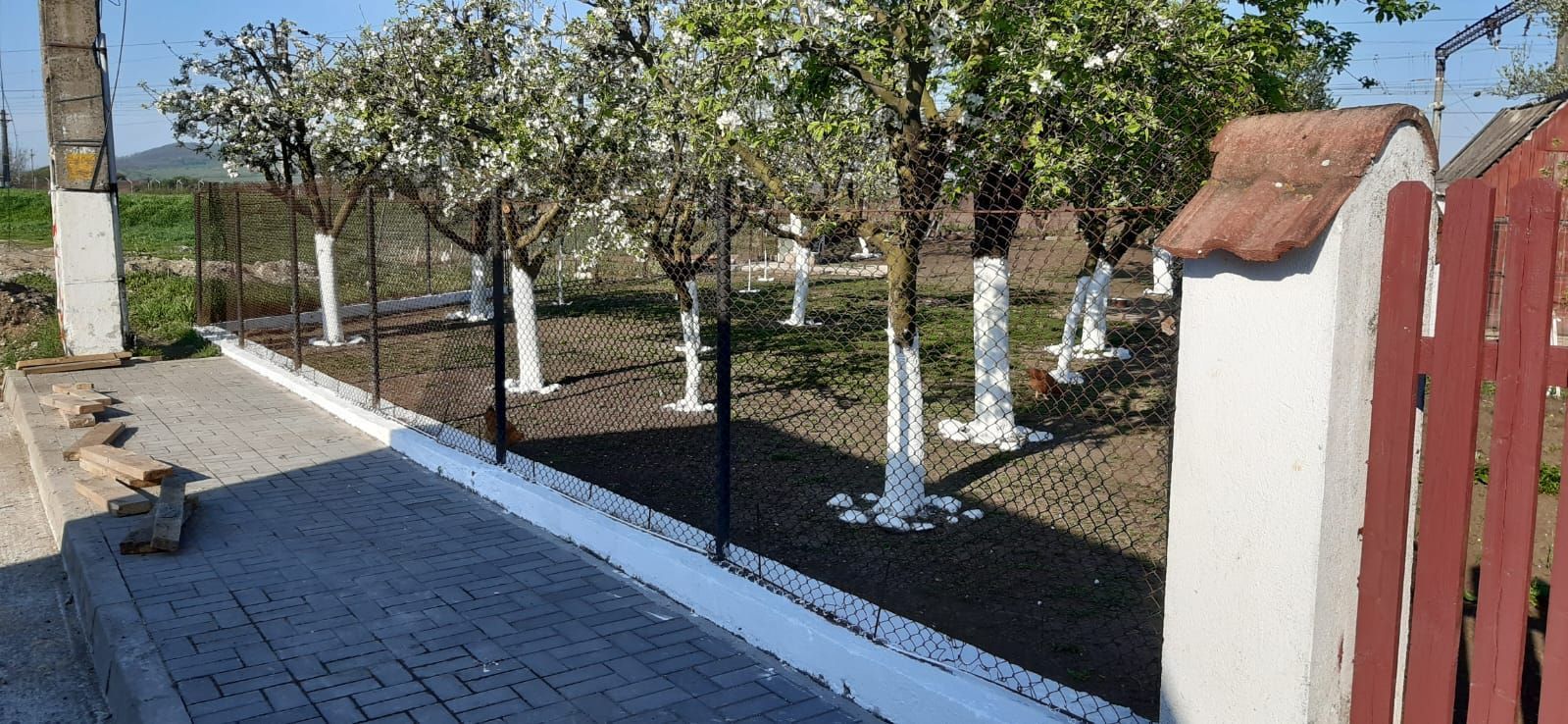 OFERTA in Băcia. Hunedoara ! Proprietate 2 case + Cabană - Poză 14