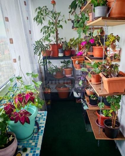 Apartament 2 camere semidecomandat, zonă Tatarasi, 70.000 EURO - Poză 7