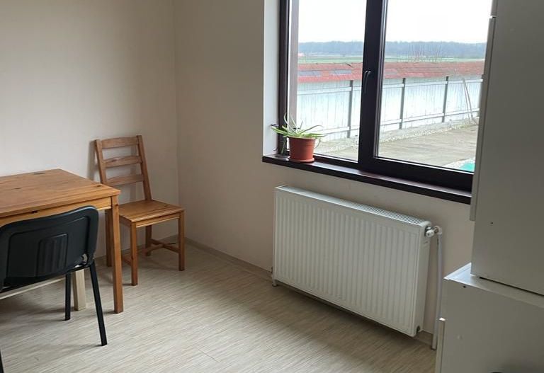 Casa unifamiliala 225 mp Calugareni Giurgiu - Poză 4