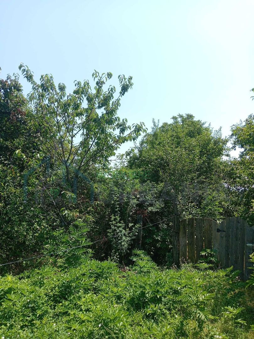 Casă de vânzare cu teren în comuna Schitu Duca, sat Dumitreștii Găleți, Iași - Poză 3