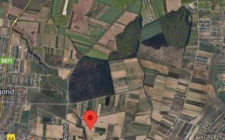 Teren extravilan Nojorid 11000mp - Poză 1