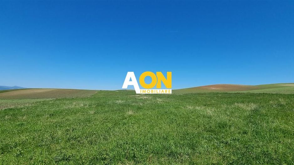 Teren de vanzare Alba Iulia Oarda de Sus - Poză 3